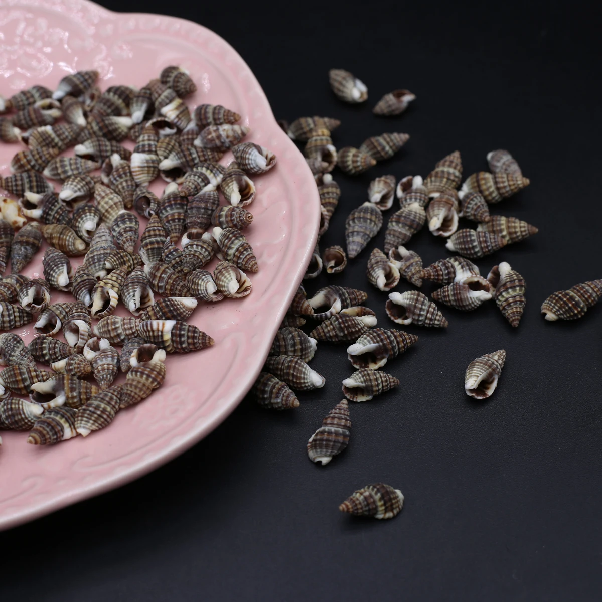 

100g Natural Shell Conch Bead Fashion Natural Shell Loose Beaded for Making DIY Jewerly Necklace Accessorie 6x15-8x17mm