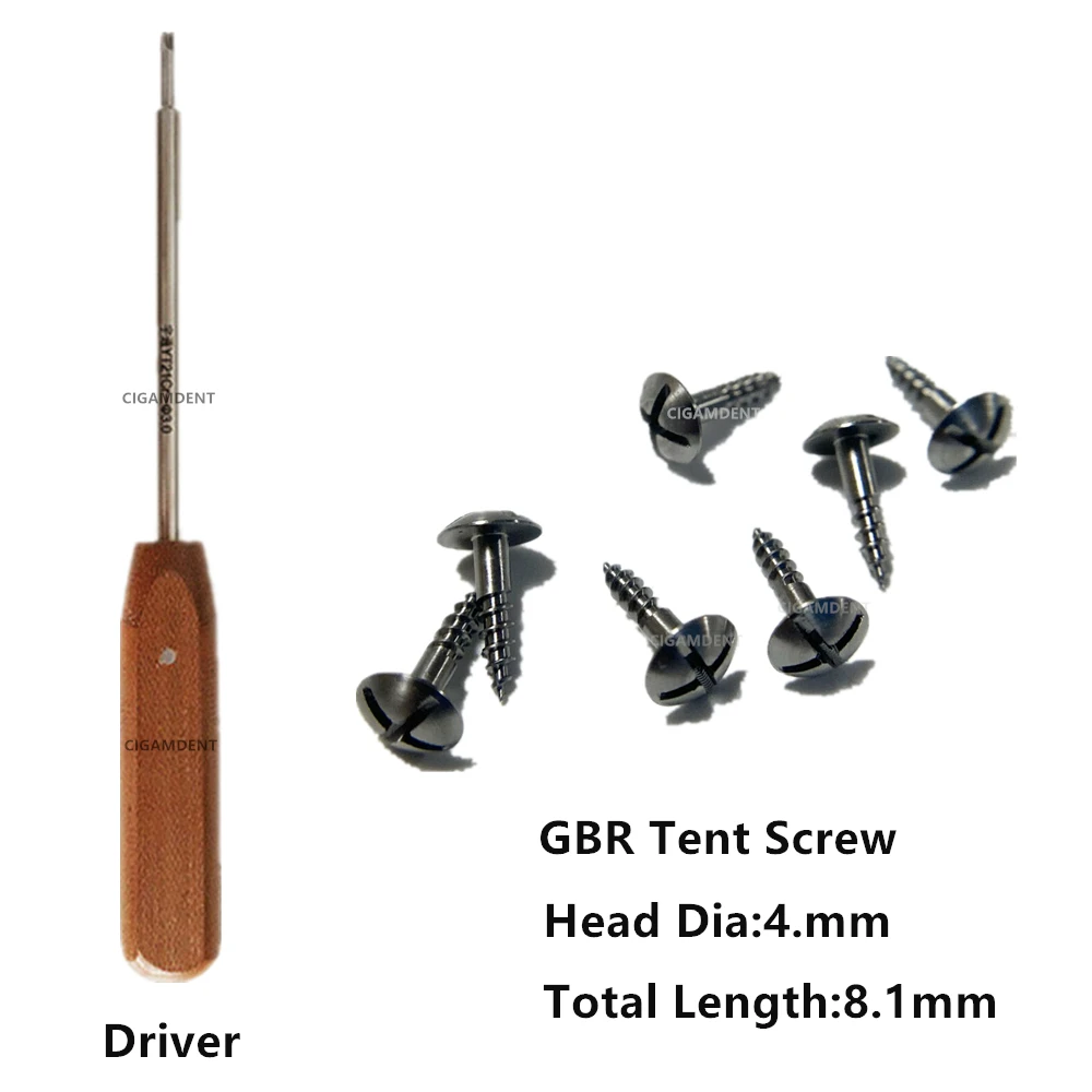 

Dental Tenting Screw GBR Mini Bone Screw Driver Handle Screwdriver Guided Bone Regeneration Surgical Implant Instruments