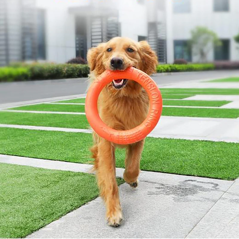 

Игрушки для собак, летающий диск, тренировочное кольцо, съемник против укусов, плавающие игрушки для собак, агрессивные жевательные интерак...