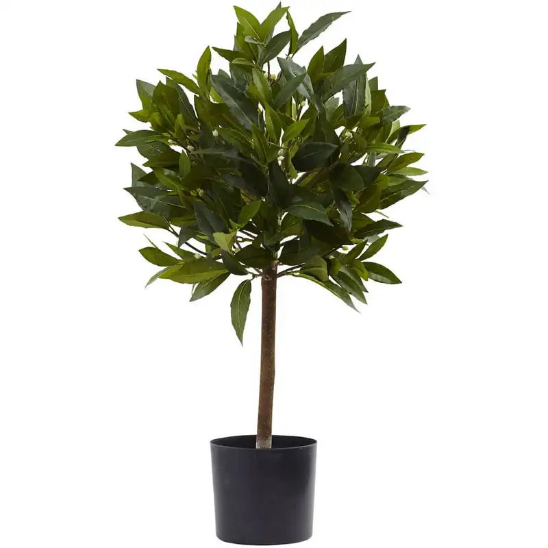 

Sweet Bay Mini Artificial Topiary, Green
