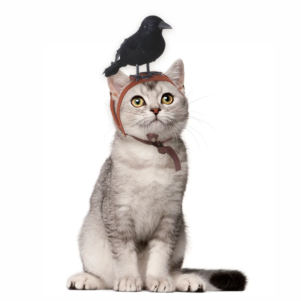 

Pet Weird Headdress Dog Ghost Day Dress Up Crow Hat Cat Transformation Clothing Headgear Cat Accessories Pet