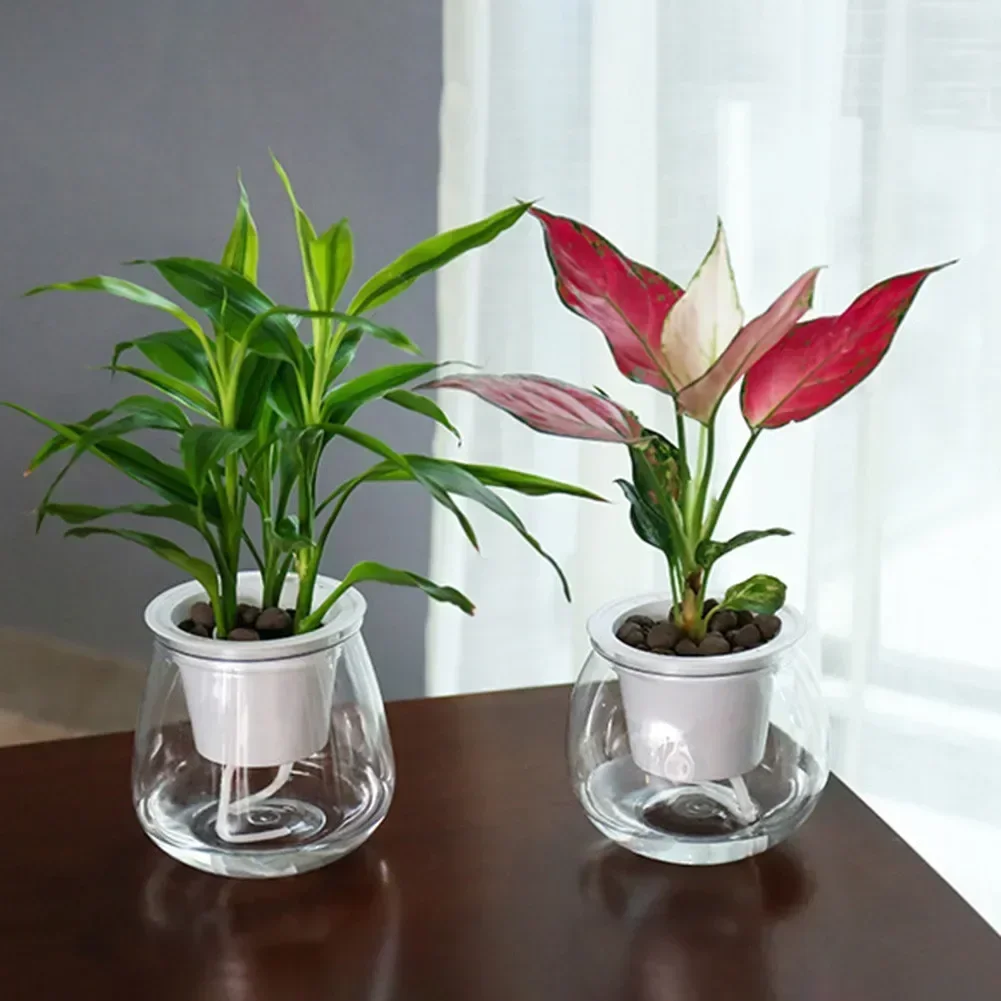 Гидропонная фотография Terrarium винтажный цветочный горшок прозрачная ваза