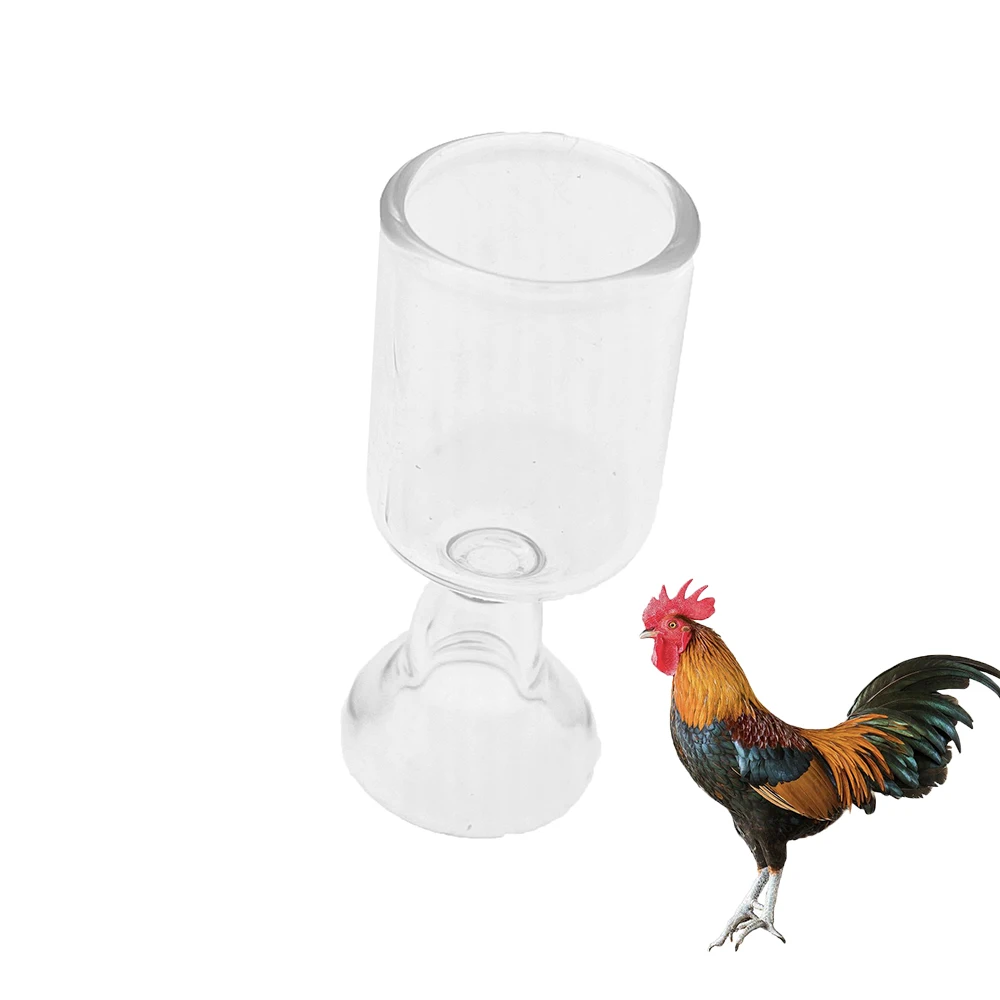 5 шт. Стеклянная емкость для сбора семян птицы мл