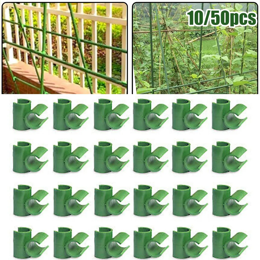 10/50Pcs Bamboo Cane Flexi Balls For Cage Connectors Netting Plant Support 8mm  Fruit Cage Netting Connectors images - 6