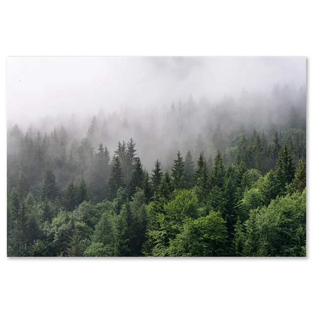 

Настенный постер "Туманный лес", печать на холсте