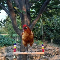 2022jmt chicken swing birds bite toys birds parrots stand perch for large birds chicken