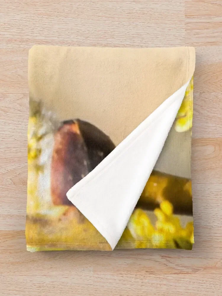 Фланелевый плед Bee