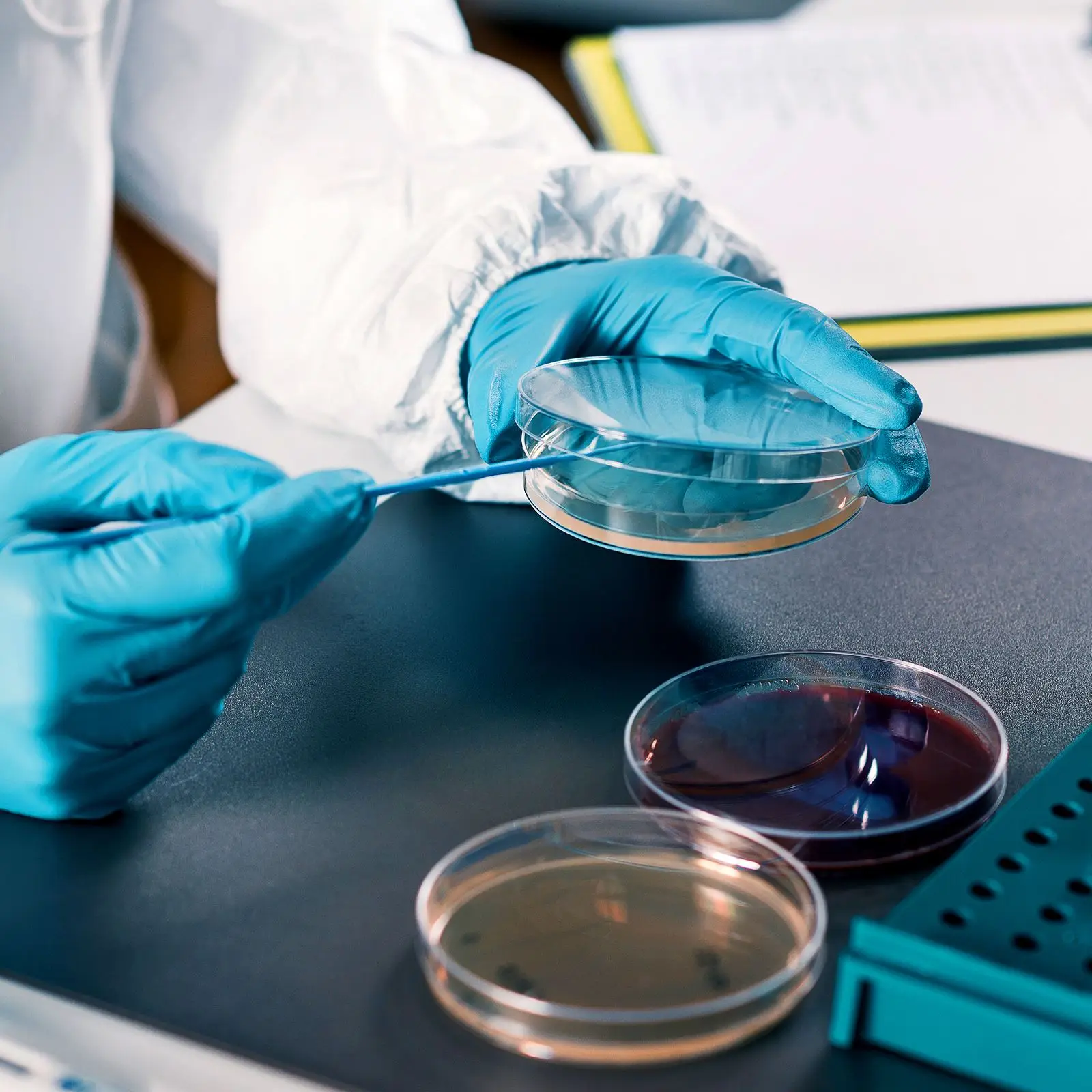 10 шт. предварительно подержанные тарелки с аром чашки Петри для культуры тканей