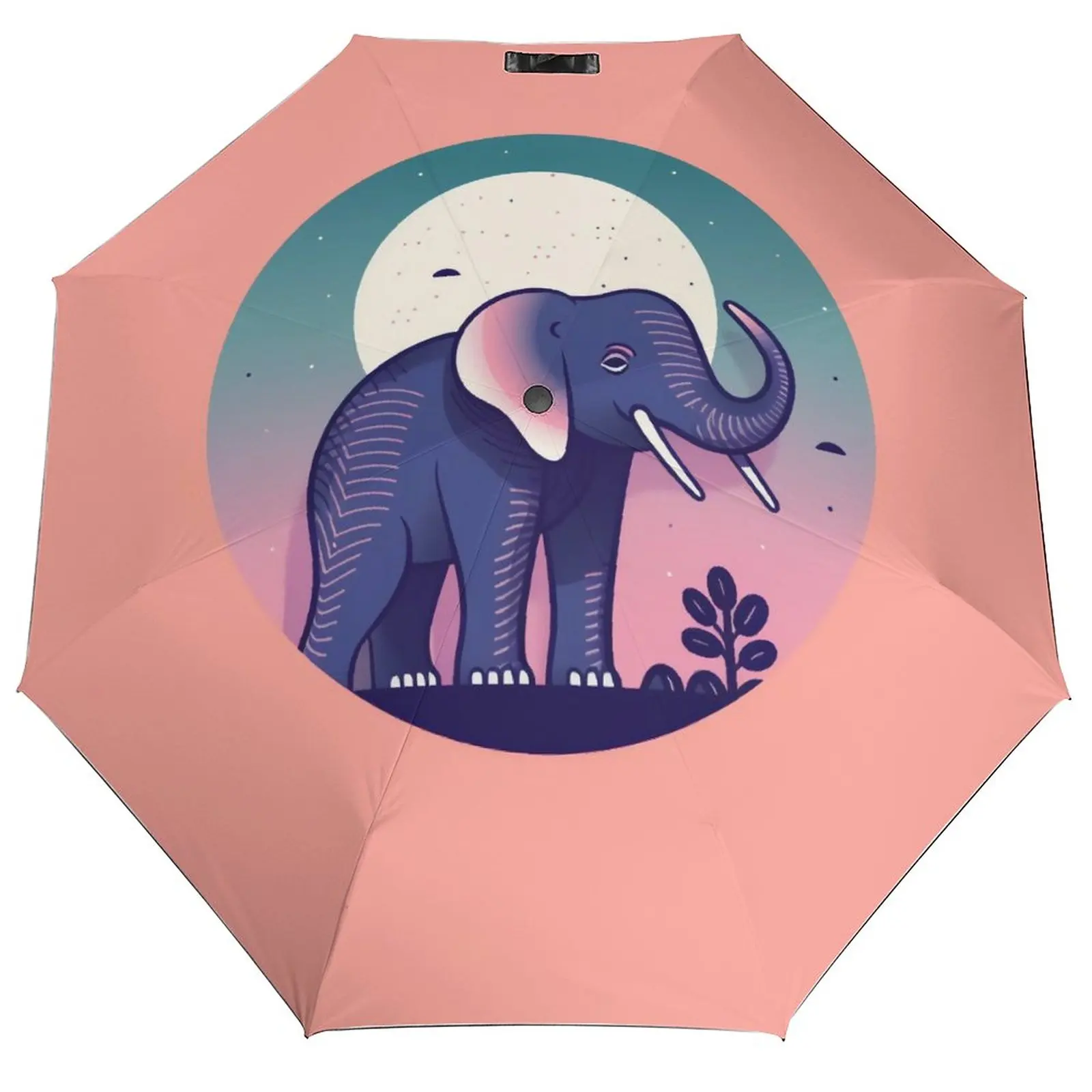 Umbrellas For Male Female