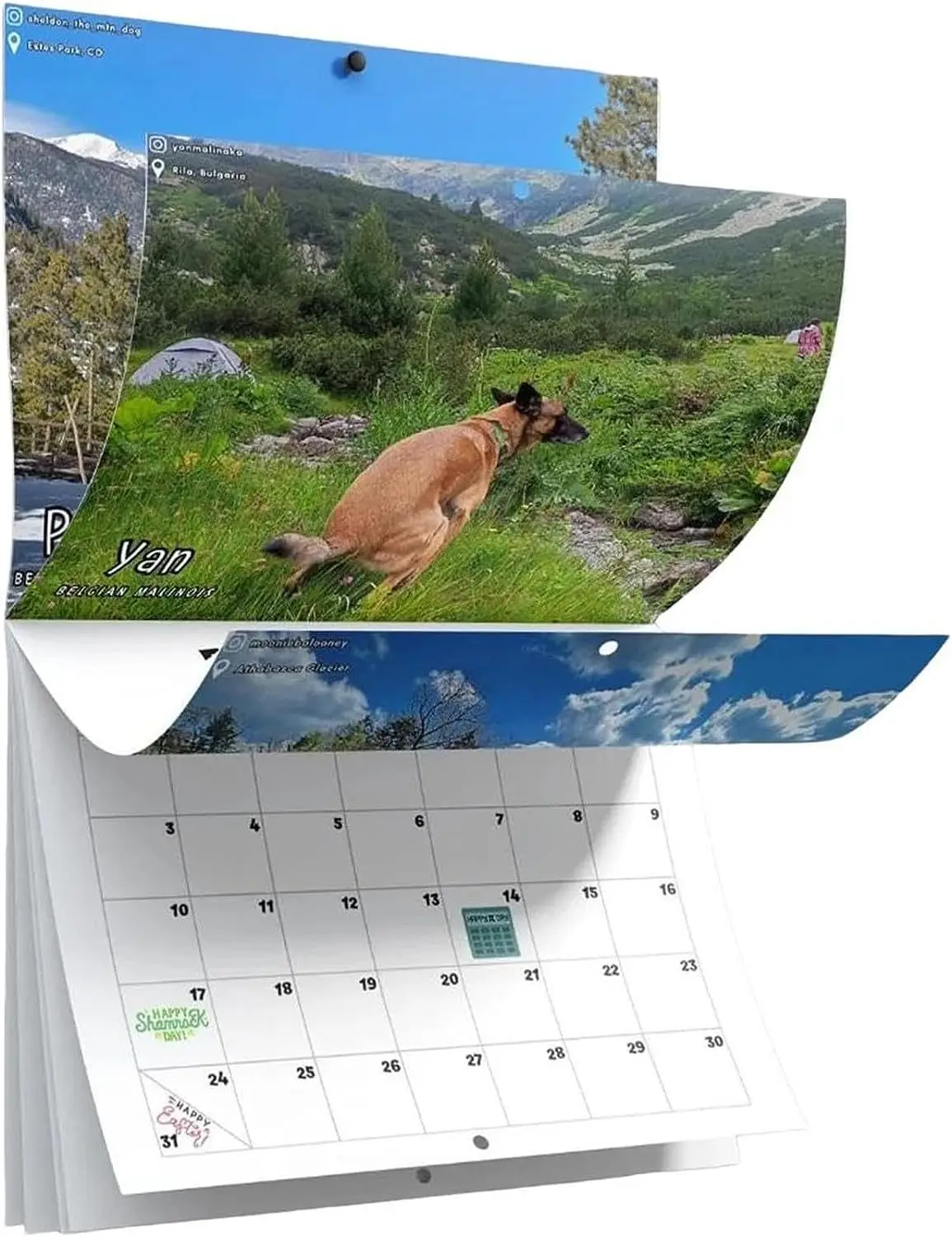 

Funny Calendar Gift 2024 dog poop Calendar
