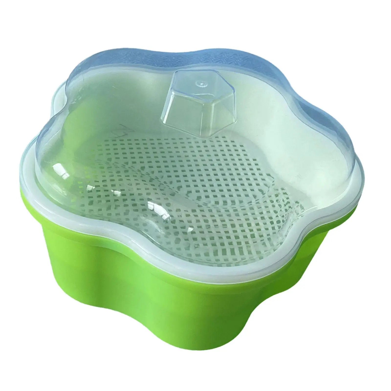 Лоток для проростков семян с крышкой Микрозелень выращивания ростков пшеничной