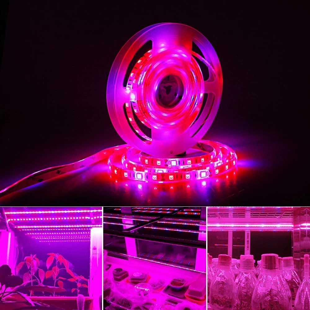 Фотолампа Полного Спектра 12 В Для Роста Растений Со Шнуром 5 М 300 Светодиодов 5050 Smd