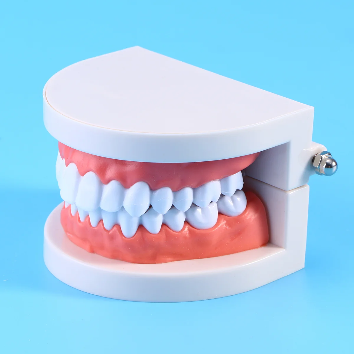 

Model Teethtoothfake Teaching Mouth Kids Models Typodont Oralstudents Study Standard Caries Dentist Pathological Decay