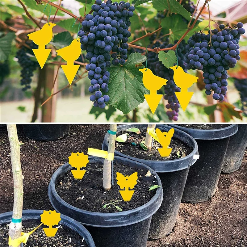 Клейкие ловушки для мух и фруктов Ловушки насекомых дома улицы 24 шт.