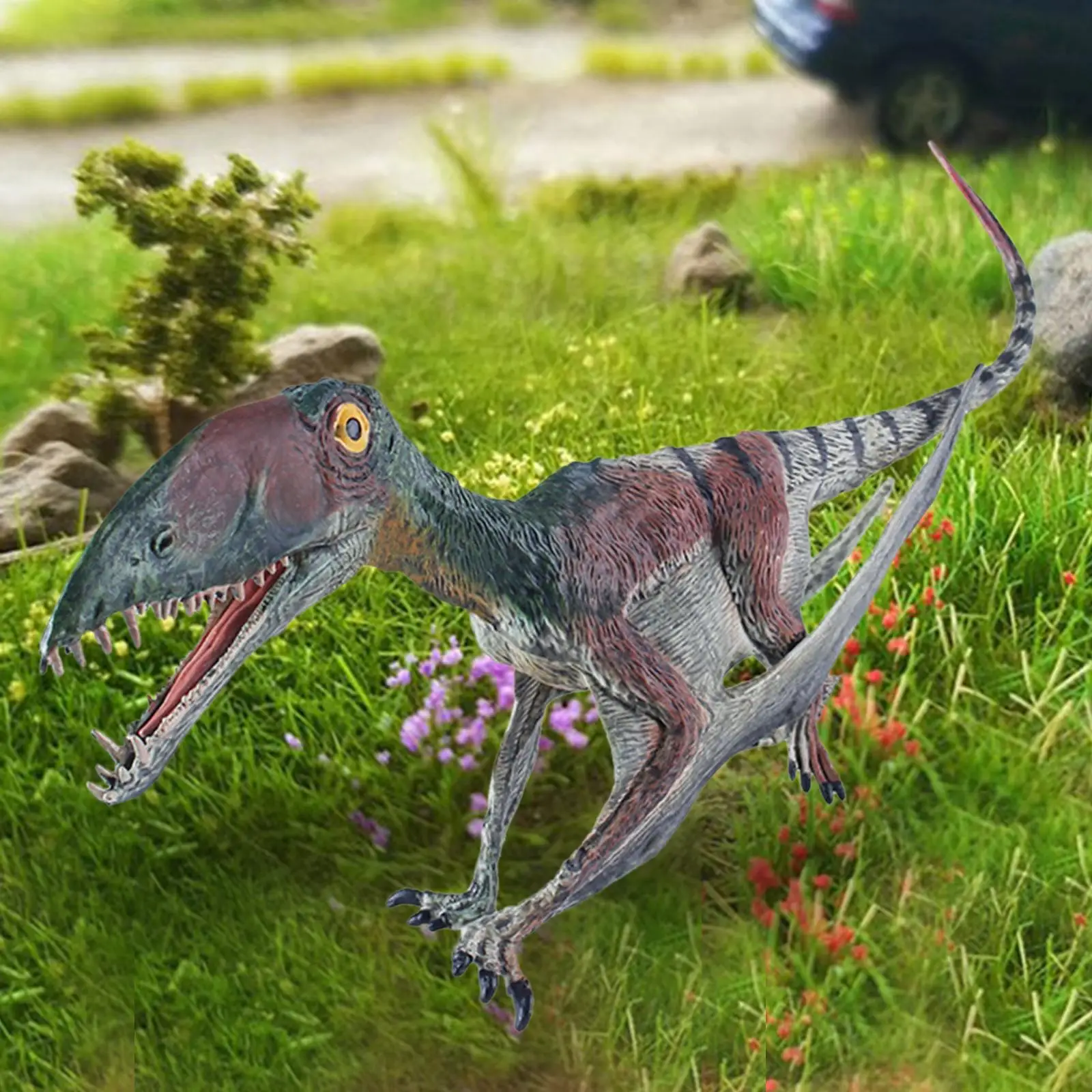 

Моделирующая фигурка Pterodactyl, Обучающие игрушки Pterosaur, фигурки, игрушки