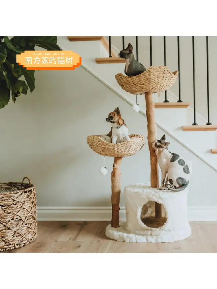 Cat Climbing Frame, Cat Bed, Cat Tree, Cat Jumping Platform & Family Cat Shelf, Cat Climbing Tree, Solid Wood Three-layer