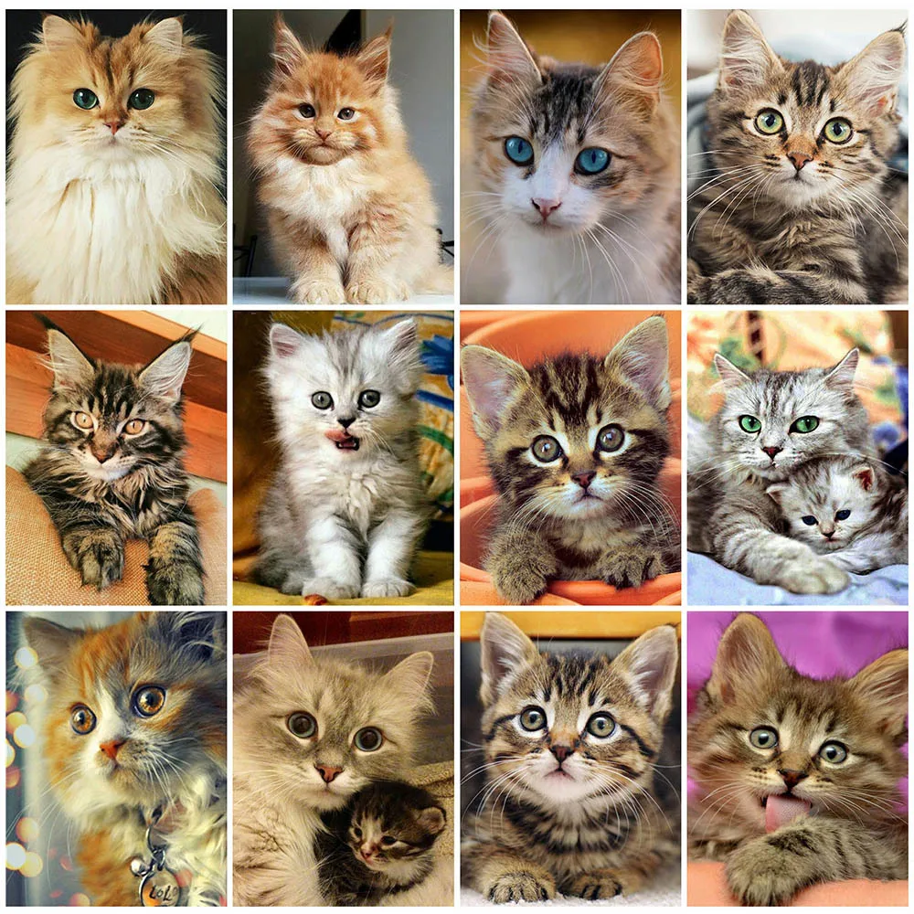 

EverShine Алмазная мозаика с кошкой, алмазная вышивка с животными, полноразмерная картина, вышивка крестиком 5D, рукоделие «сделай сам»