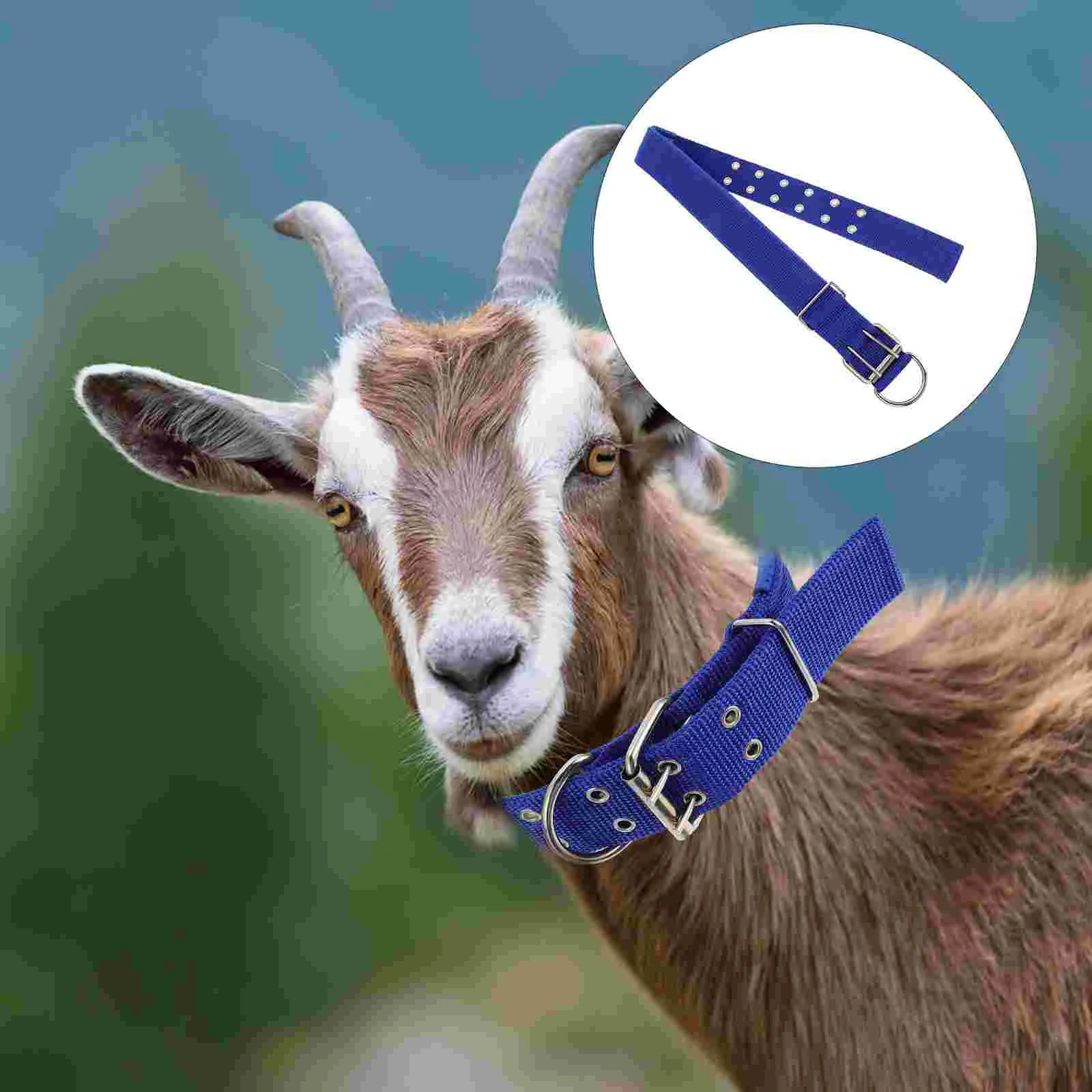 

Collar Pet Dog Neck Collars Adjustable Goat Cattle Necklace Saftycone Supplies Neckband Lovely Sheep Fashion Charms Accessories