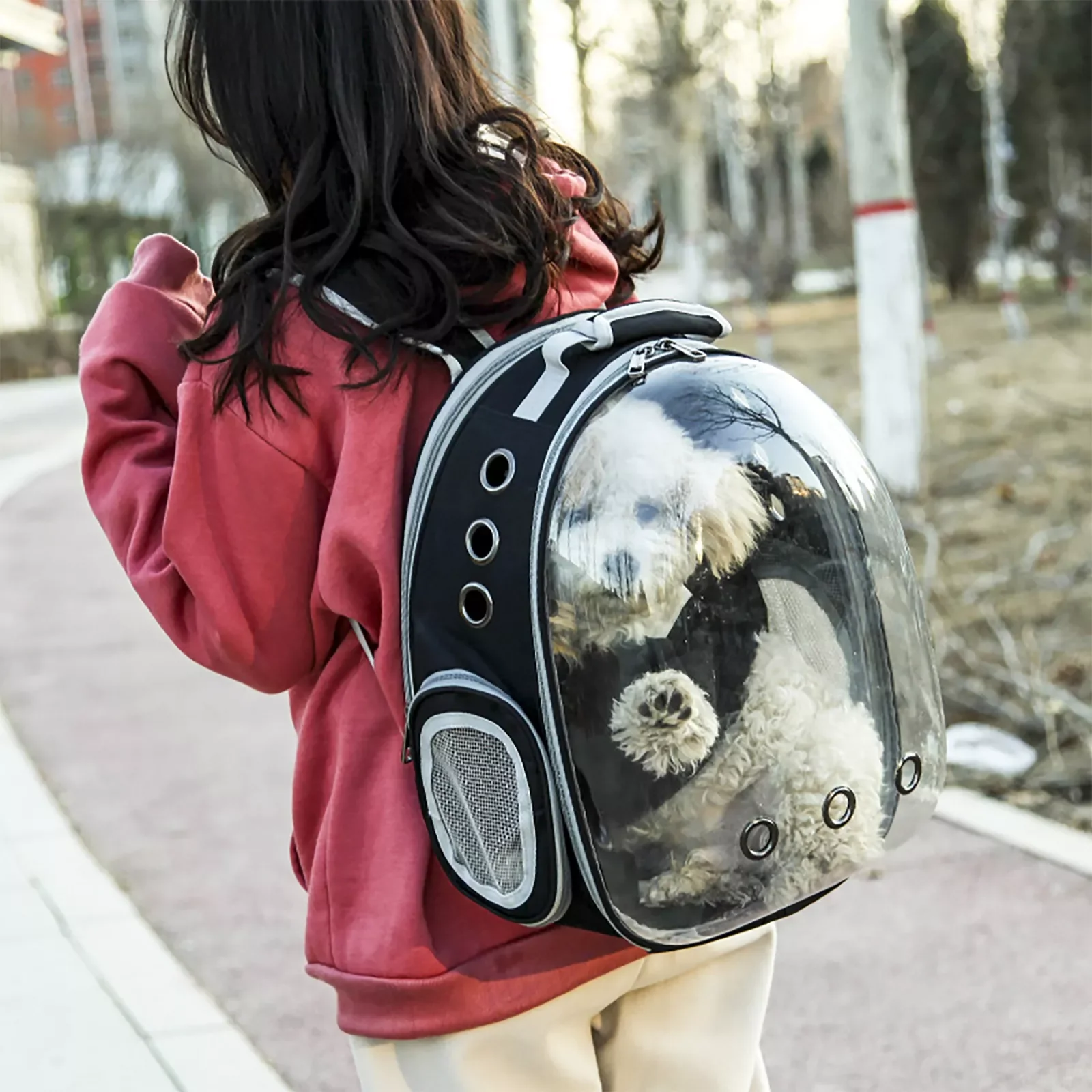

2023NEW Carrier Bag Outdoor Pet Shoulder bag Carriers Backpack Breathable Portable Travel Transparent Bag For Small Dogs Cats
