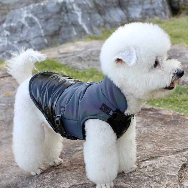 

Luxury Dog Clothes, Autumn and Winter Pet Jackets, Plush Thick Warm Dog Coats, Chihuahua French Bullfighting SchnauzerTeddy Coat