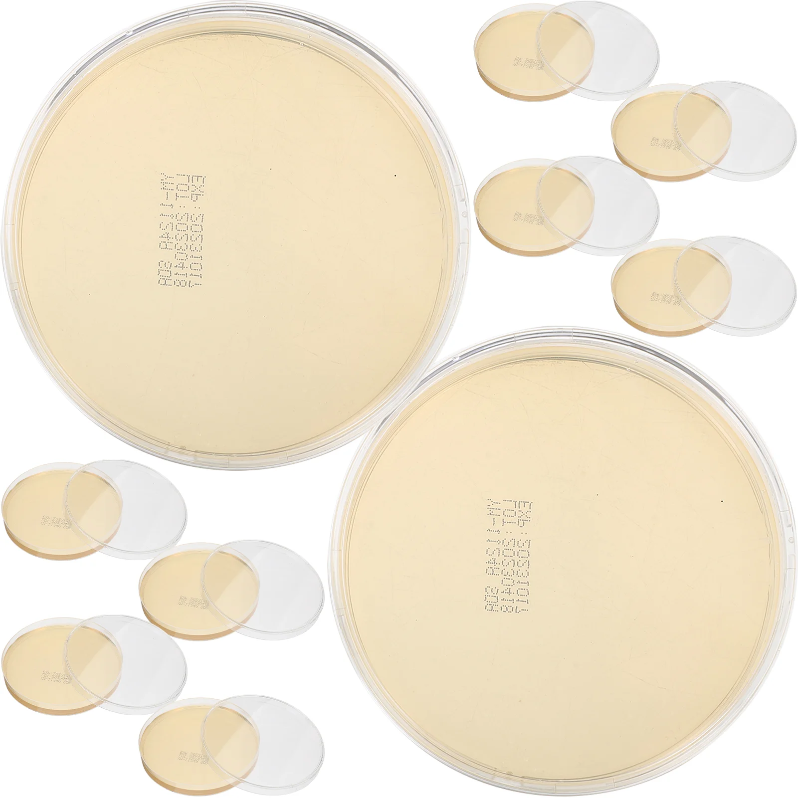 

10 Pcs Nutrient Agar Plate Small Plates Portable Finished Product Science Experiment Supplies Petri Dishes Pre-poured Jelly