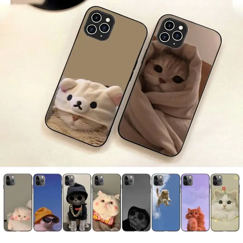 

Cut Funny Cat Phone Case For Iphone 7 8 Plus X Xr Xs 11 12 13 14 Se2020 Mini Pro Max Mobile Iphones Case