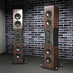 Рисунок 6 - Динамик DS 6855E hifi -end