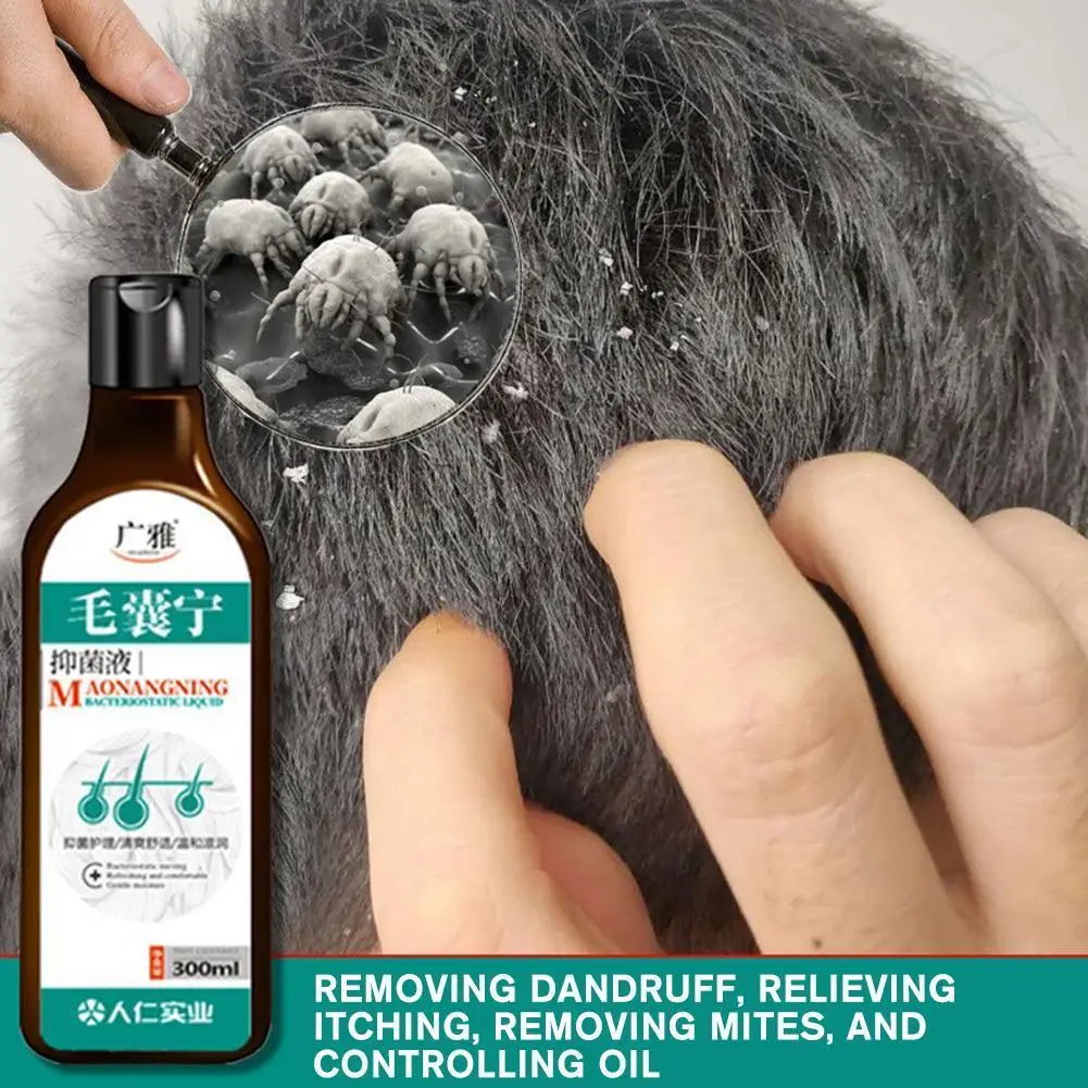 

New Anti-dandruff Shampoo Chinese Herbal Hair Care Seborrheic Repair Shampoo Products Scalp Folliculitis Damage Curly Hair Y9B0