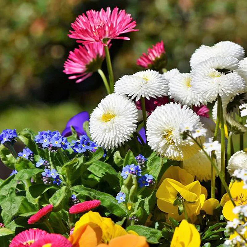 

Multiple Styles Mixed Flowers Plant Decoration Fragrant