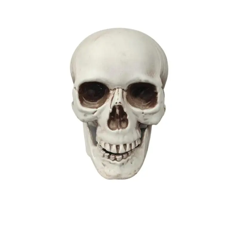 

Halloween Decoration Skull Decor Prop Skeleton Head Scared Skulls for Halloween Adult Party Haunted House Party Front Yard Decor