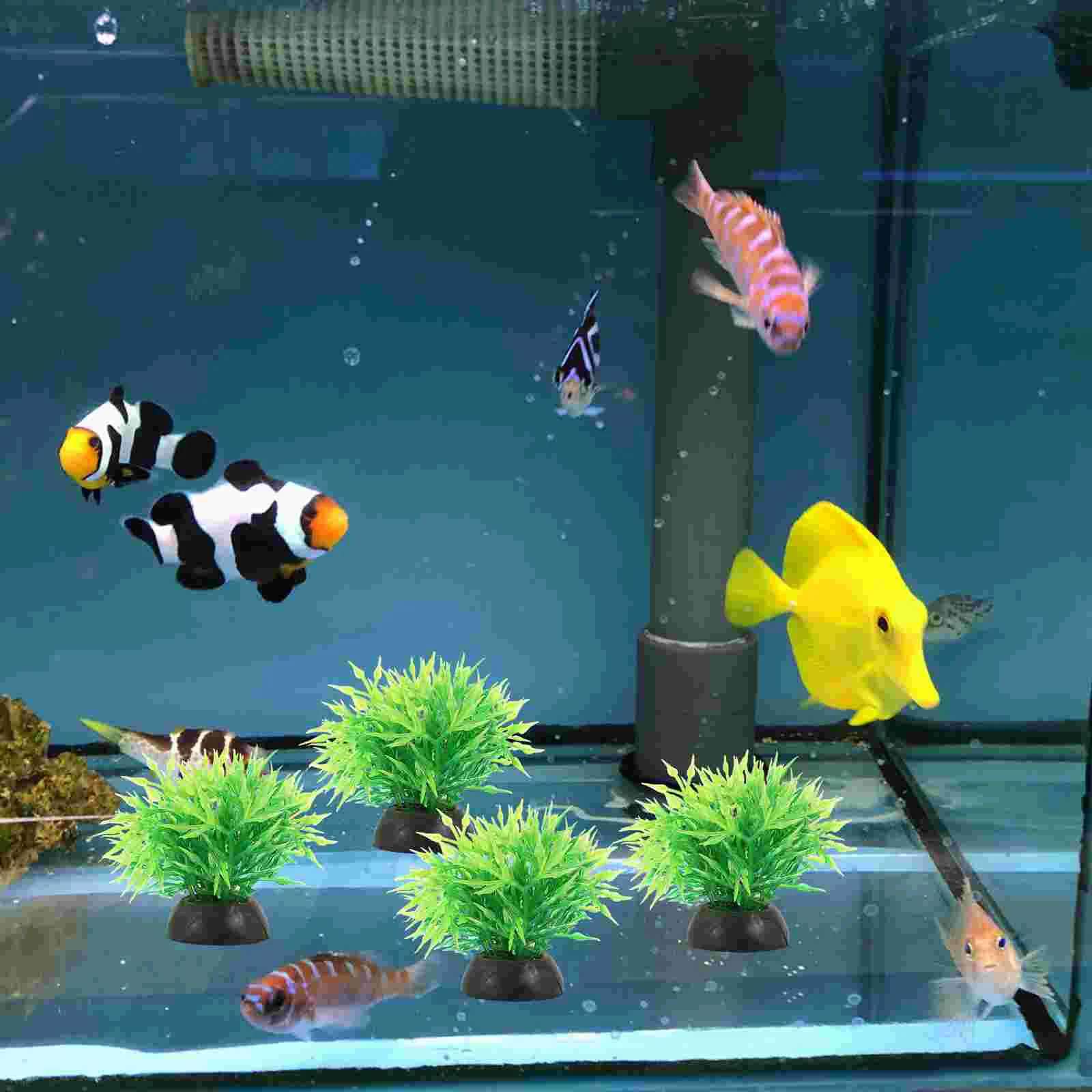 

20 Pcs Aquarium Landscaping Plastic Fish Tank Plants Aquatic Freshwater Decorate Tall Betta Decorations Small