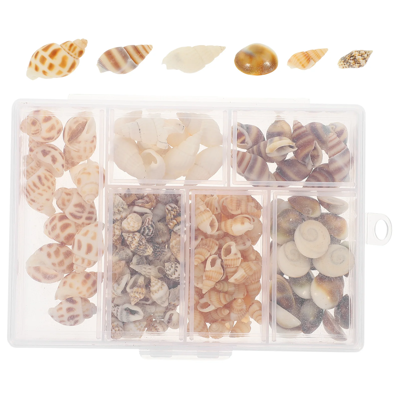 

1 Box Fish Tank Decor of Decorative Tiny Sea Shells Conch Natural Conch DIY Craft Miniature Seashells Decors