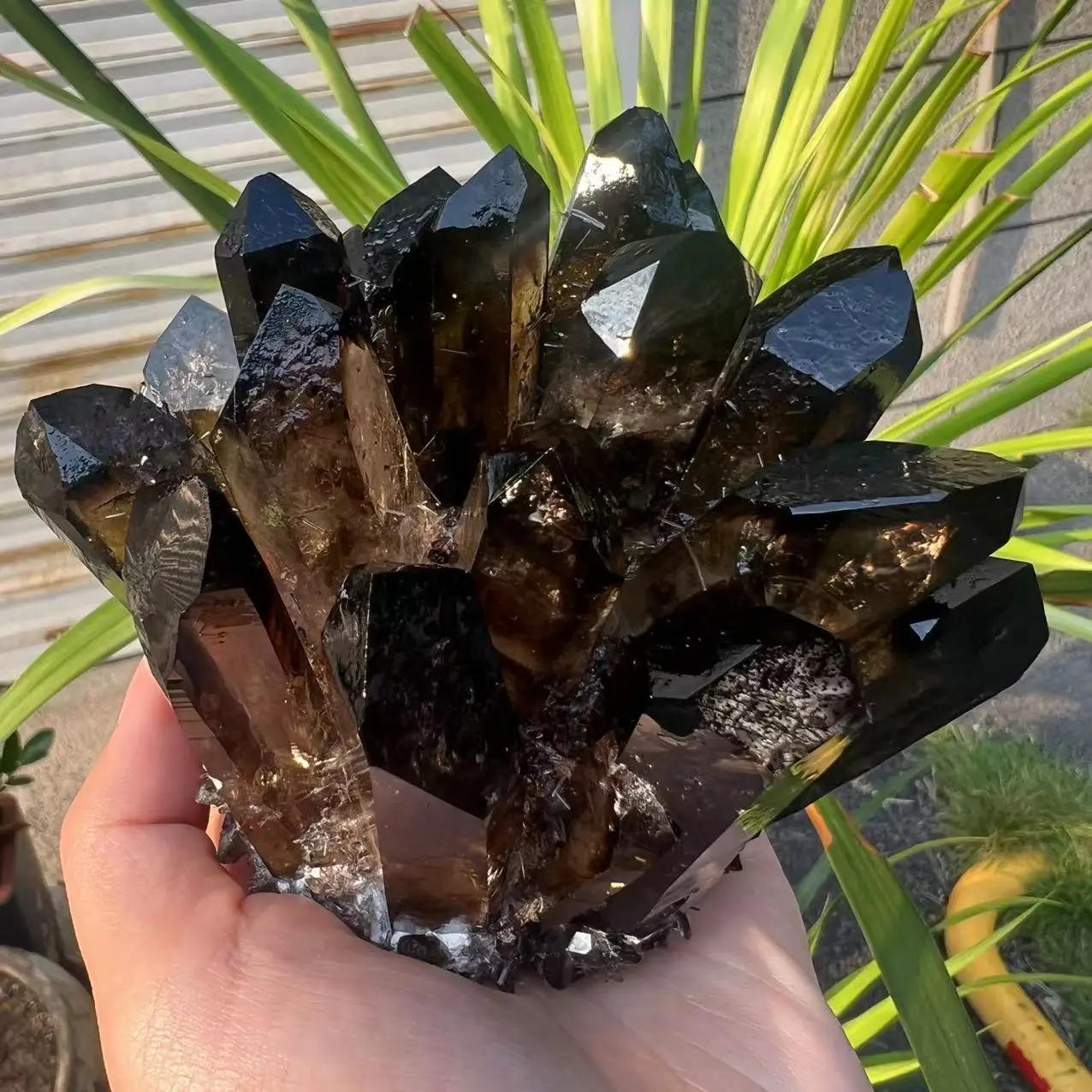 Натуральный дымчатый черный кварц 852 г