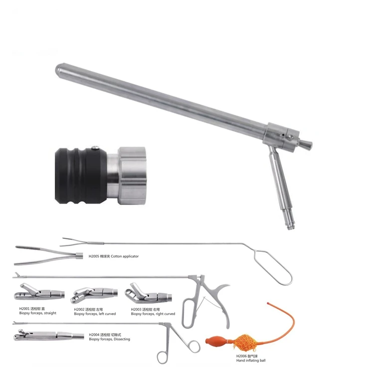 Sigmoid scopy sigmoidoscopes sigmoidoscope