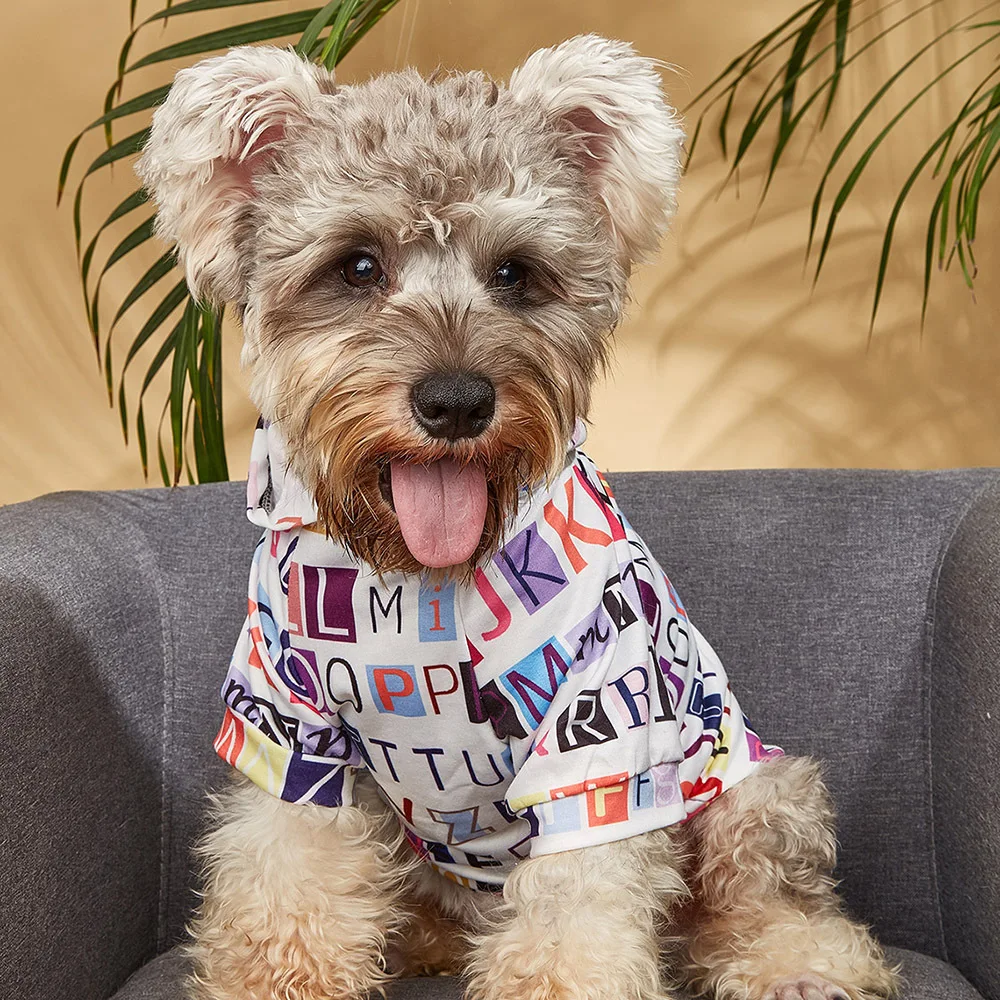 

Pet sweater color letter printing spring and summer new ins style Hooded Sweater comfortable dog clothes trendy clothes
