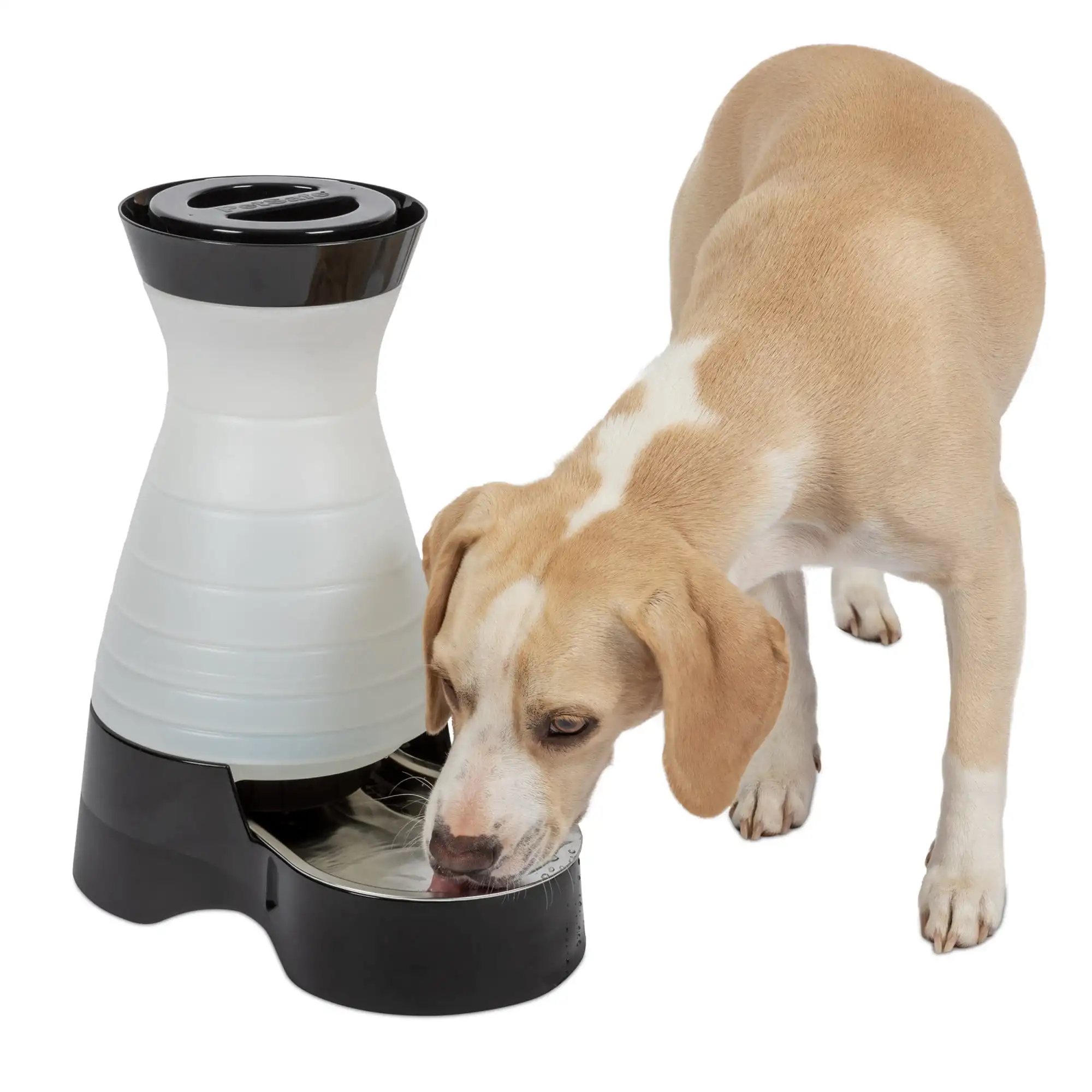 

Pet Water Station - 1 Gallon