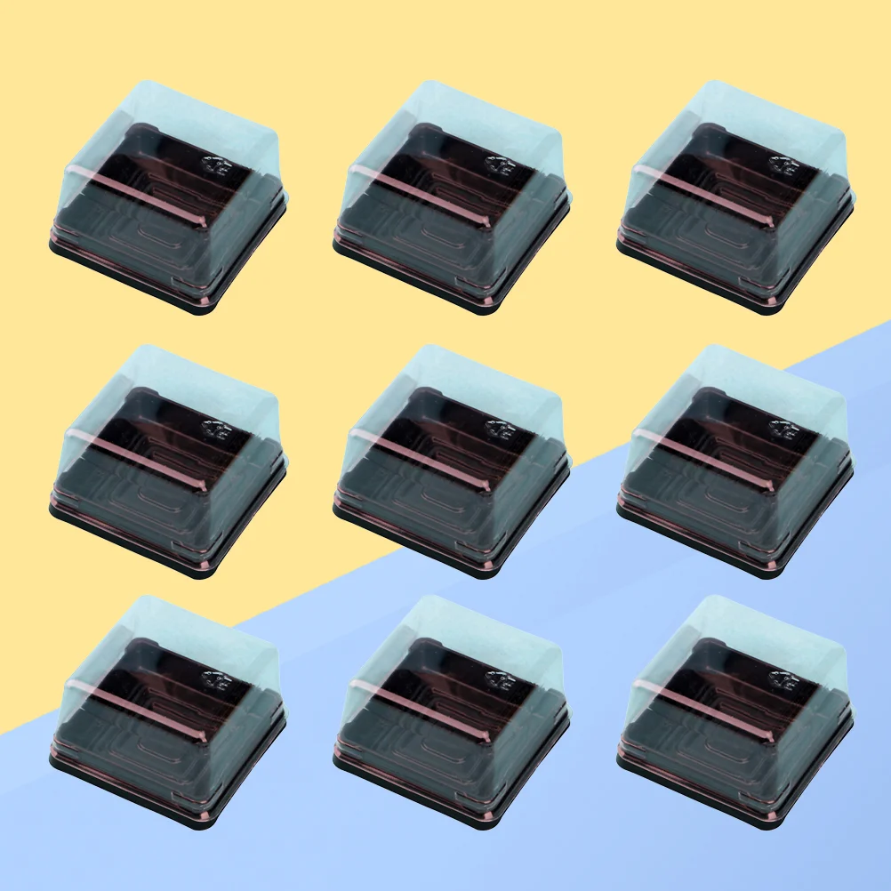 

Boxes Box Cupcake Mini Clear Cupcakesindividual Cake Shower Baby Gift Cardboard Indivdual Chocolate Bakery Transparent