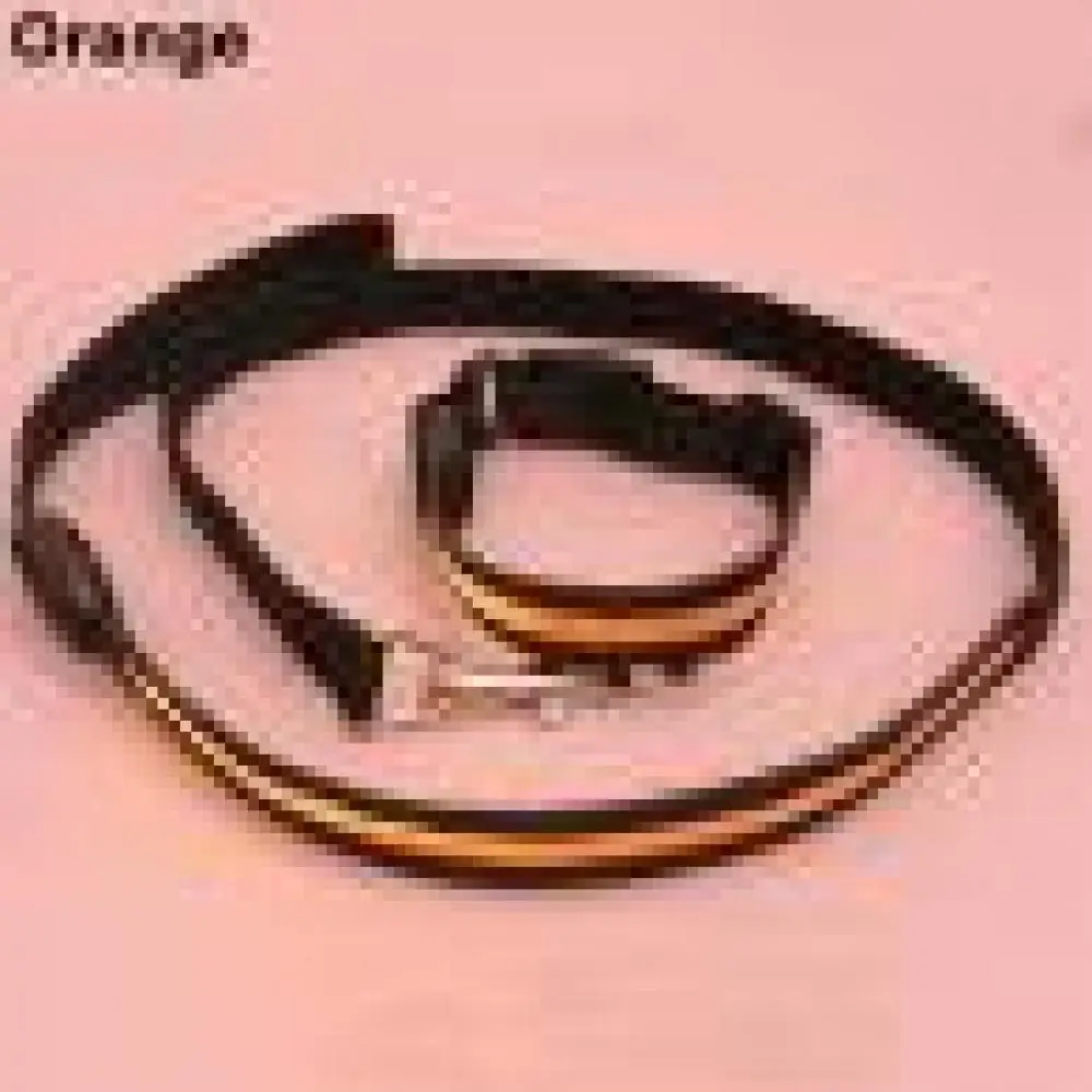 

Safe LED Fashion Nylon Flashing Collar Pet Dog Night Safety Light Up Band