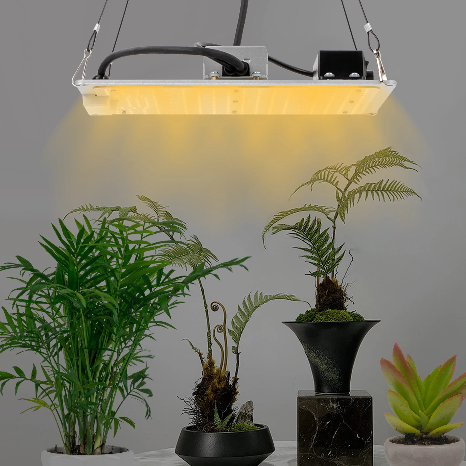 Growing Lamp Commercial Indoor Plant Full Spectrum For Greenhouse Flower Plants Veg Dimmable