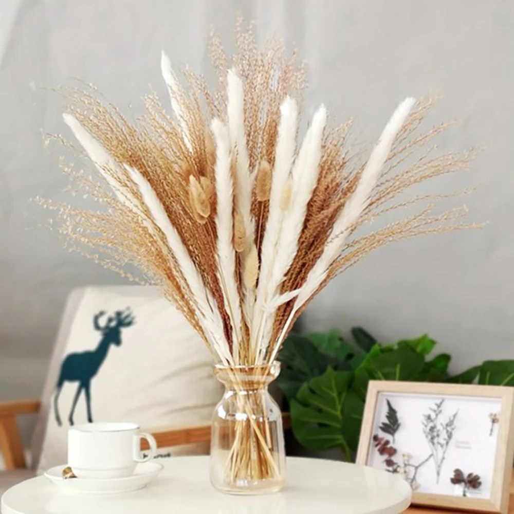 

36PCS Dried Pampas Grass Soft Pampas and Bunny Tails Fluffy Plants for Vases Boho Home Gift for Flower Arrangements and Weddings