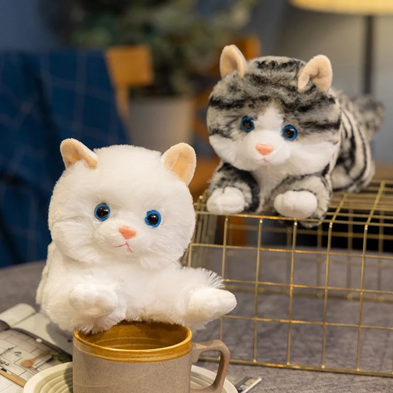 Реалистичные кошки, плюшевая игрушка, имитация американских короткошерстных кавайных мягких кошек Siame, игрушки для домашних животных, реалистичный домашний декор, подарок на день рождения 31 см (art.: 3920cf76b60c3) - 3920cf76b60c3