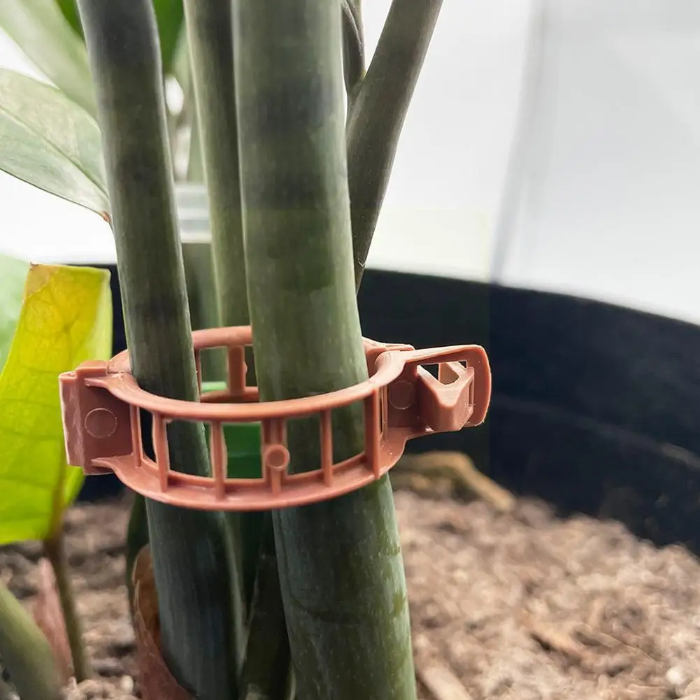 

100pcs Garden Clip Set Greenhouse Tomato Stem Support Clips Tomato Clamp Plastic Plant Clip Plant Growth Clamp Clip Plants K4x6