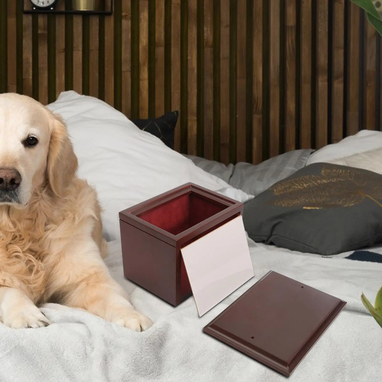 

Waterproof Pet Cremation Urns Memorial Box for Funeral Supply Cats