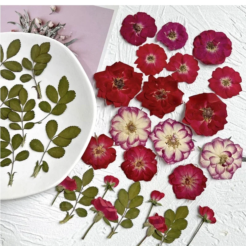 24 шт./пакет рельефная комбинированная Цветочная рамка в виде Розы