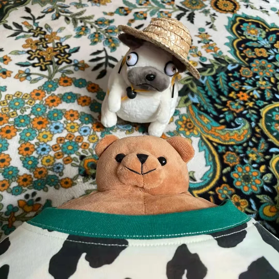 Маленькая набивная подушка в виде медведя маленькая большого тела енота лягушки