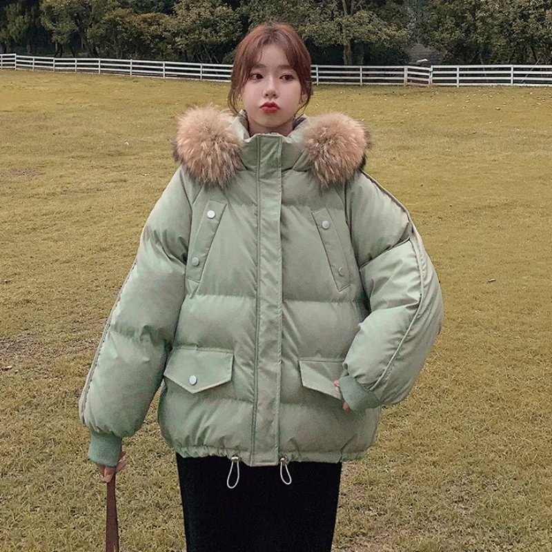 2024 Autumn and Winter New Western Sle Down Cotton Clothes BF Internet Celebri Ins Hong Kong Thickening ... |