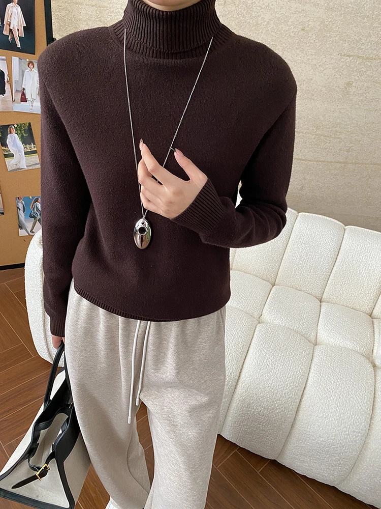 BZVW модный вязаный пуловер в стиле минимализм женский зимний 2024 новая водолазка с