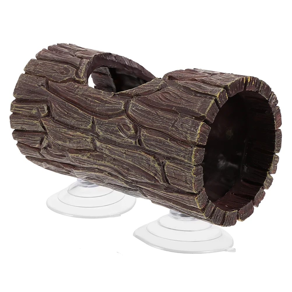 Присоска Ящерица Дерево Отверстие Вкрытие Бетта Открытый Рептилия Аквариум