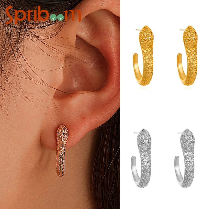 

New Snake Earrings for Women Gold Color Hoop Earring Silver Color Small Animal Fashion Jewelry Punk Personality Accessories