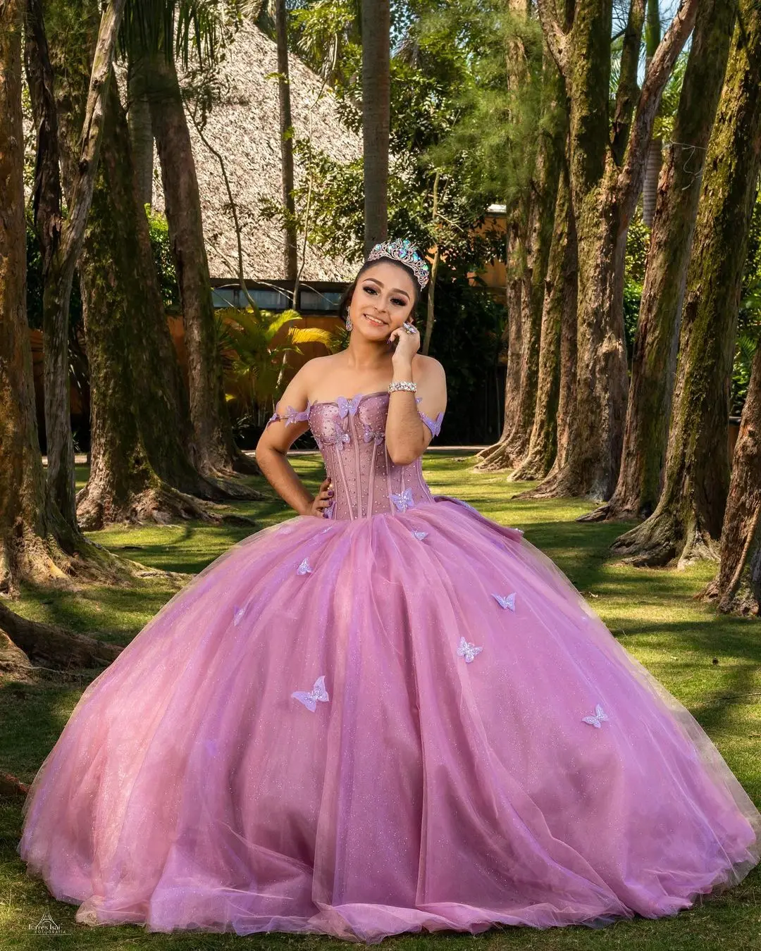 

Romantic Prom Dresses 2023 Butterflys Appliques Beads Shiny A-Line Evening Dresses Formal Dresses Vestidos De Graduation Dress